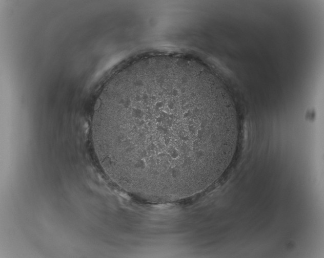X0000113571302200910021620