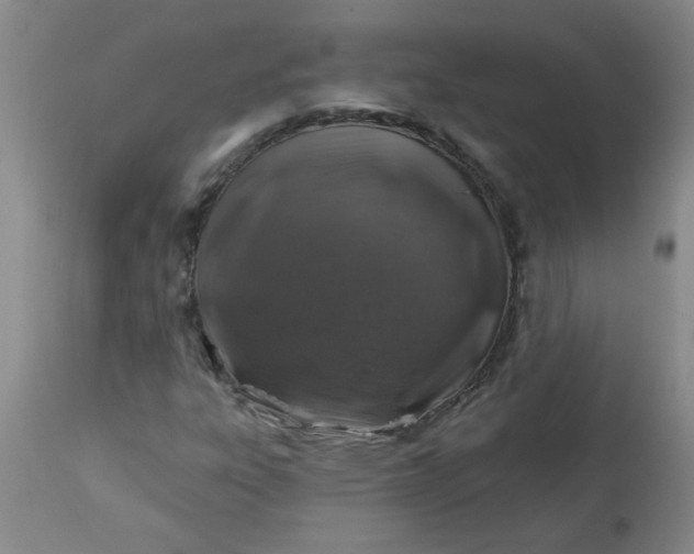 X0000113571303200910021620