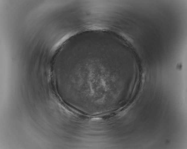 X0000113571306200910021620