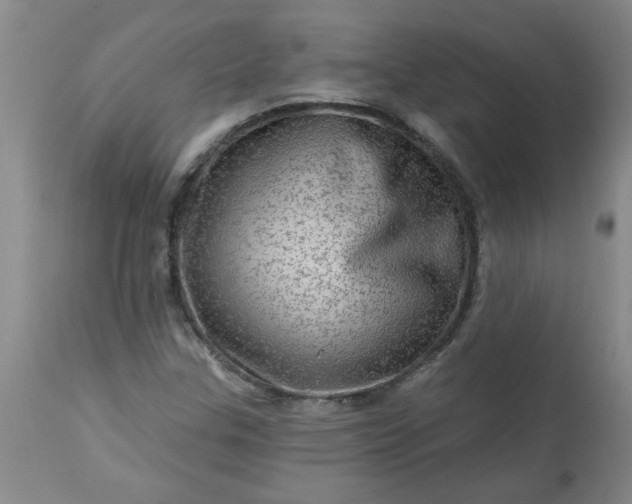X0000113571307200910021620