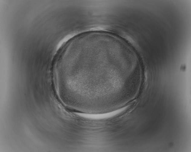 X0000113571308200910021620