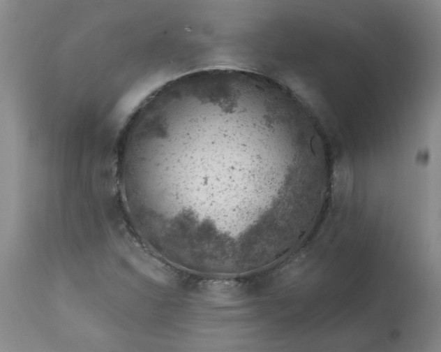 X0000113571310200910021620