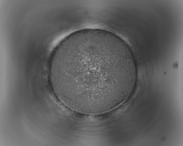 X0000113571311200910021620