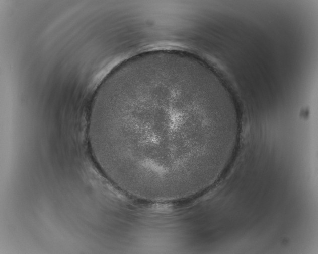 X0000113571313200910021620