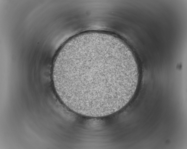 X0000113571314200910021620