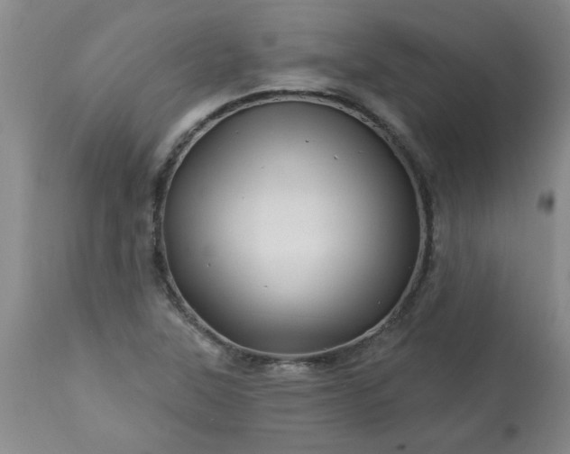X0000113571315200910021620