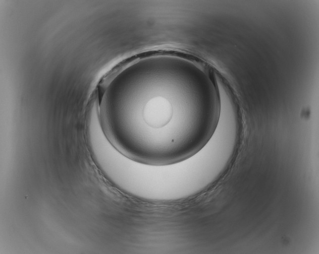 X0000113571316200910021620
