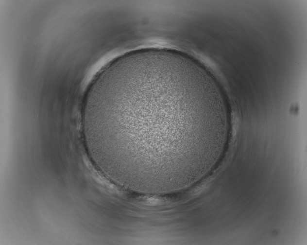 X0000113571318200910021620