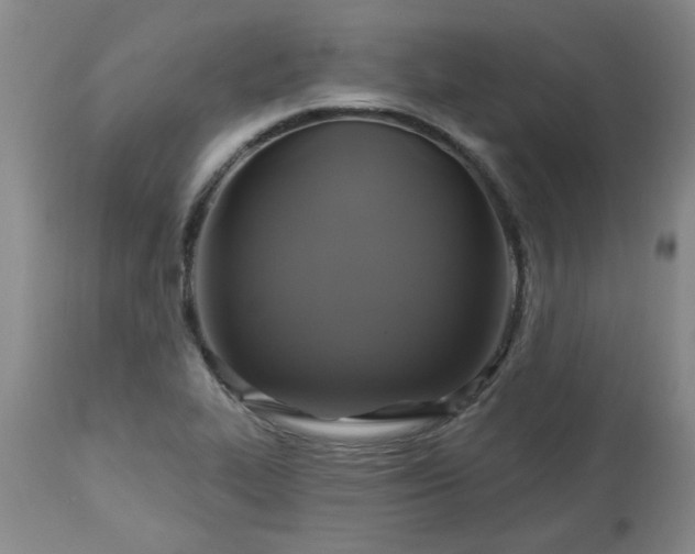 X0000113571319200910021620