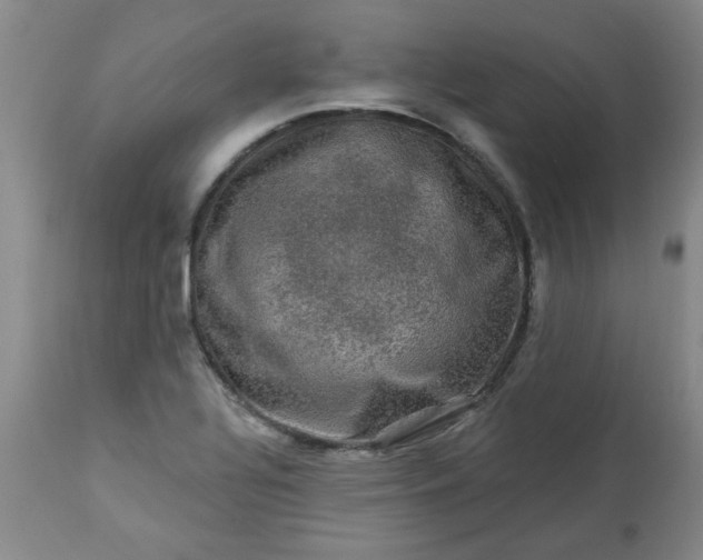 X0000113571320200910021620