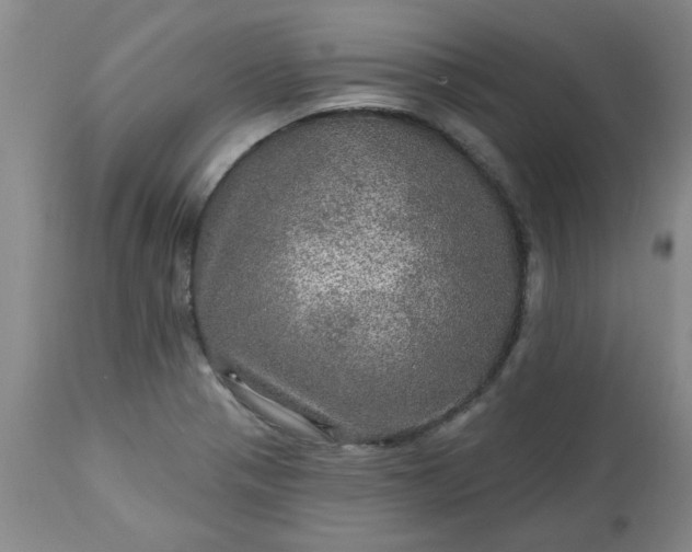X0000113571321200910021620