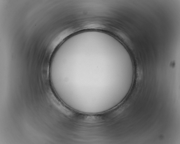 X0000113571322200910021620