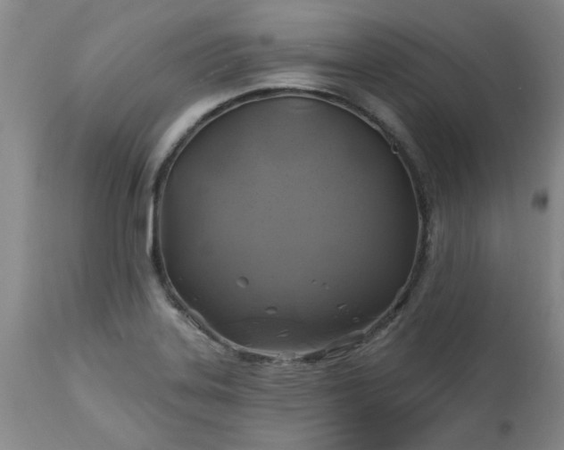 X0000113571323200910021620