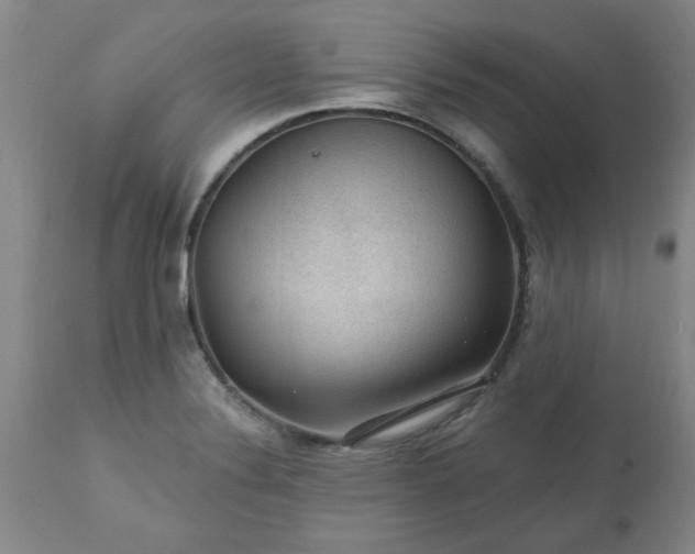 X0000113571324200910021620