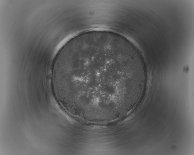 X0000113571325200910021620