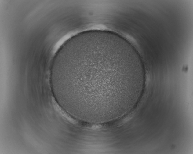 X0000113571326200910021620