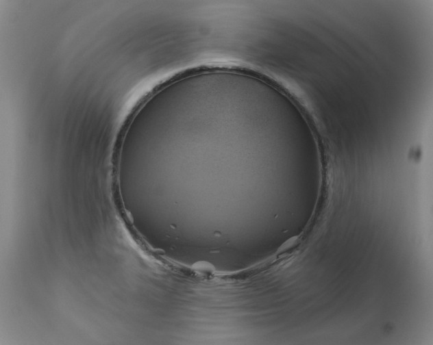 X0000113571327200910021620