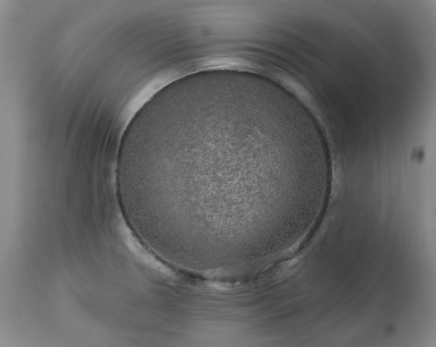 X0000113571330200910021620