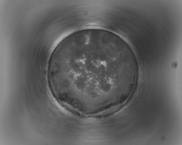 X0000113571333200910021620
