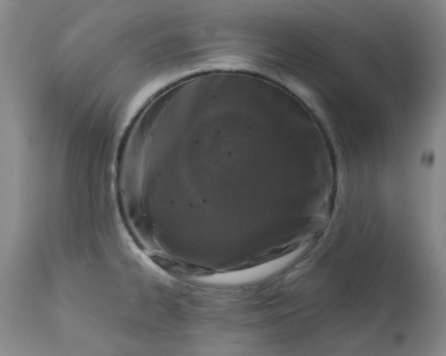 X0000113571334200910021620