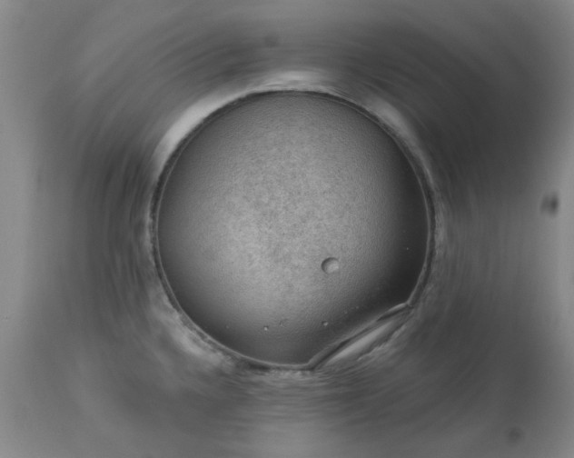 X0000113571336200910021620