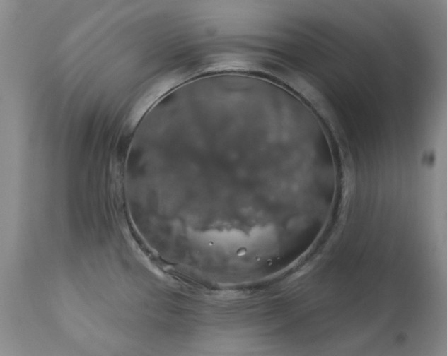 X0000113571337200910021620
