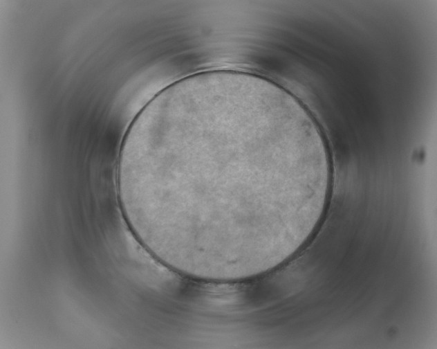 X0000113571338200910021620