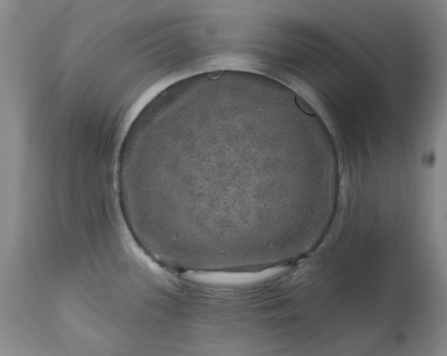 X0000113571339200910021620