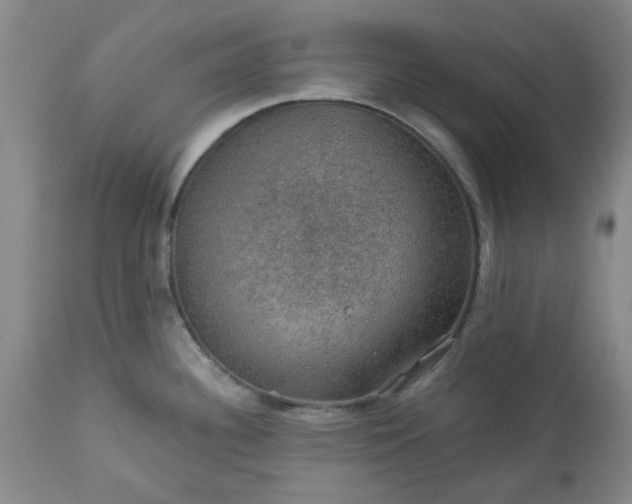 X0000113571340200910021620