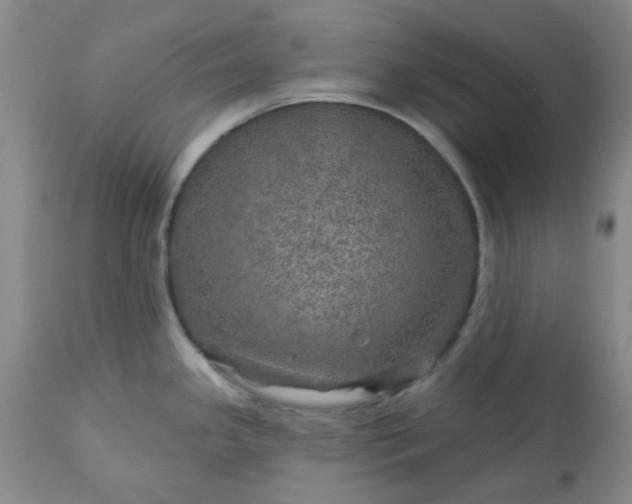 X0000113571341200910021620