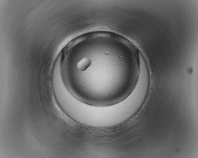 X0000113571342200910021620