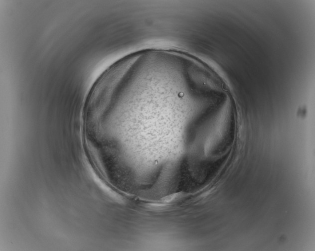 X0000113571343200910021620