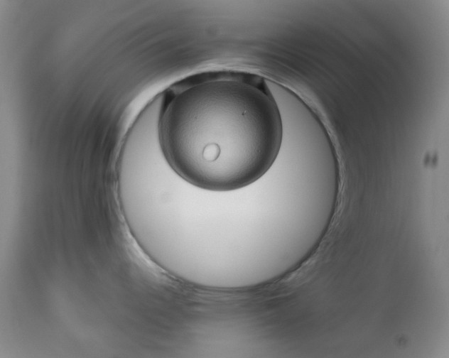 X0000113571344200910021620