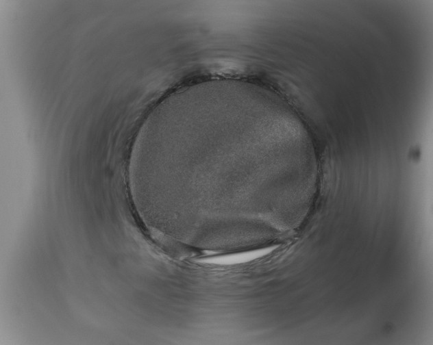 X0000113571345200910021620