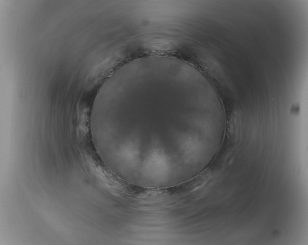 X0000113571346200910021620