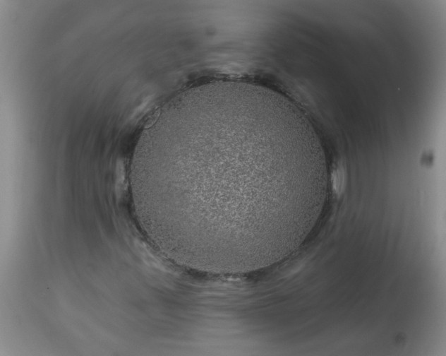X0000113571347200910021620