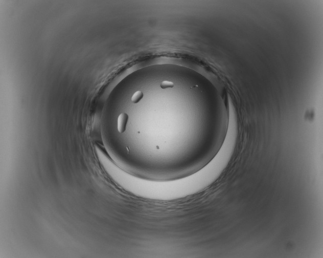 X0000113571348200910021620