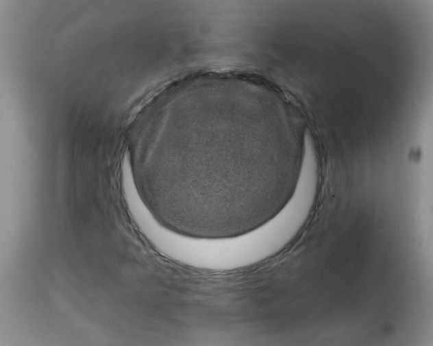 X0000113571349200910021620