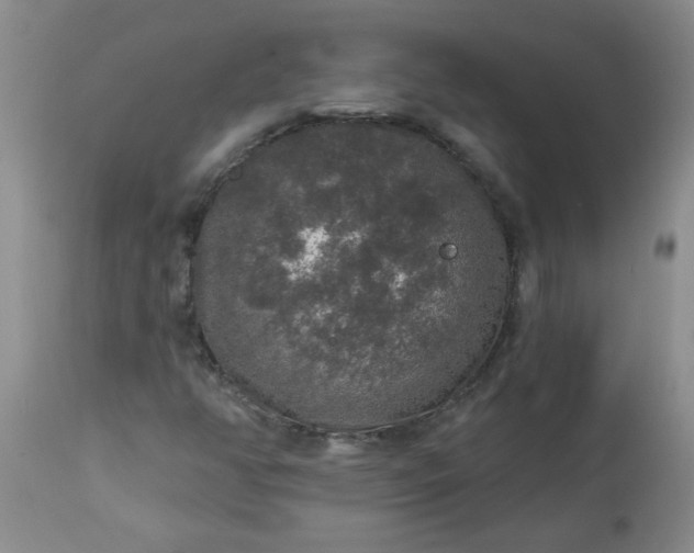 X0000113571350200910021620