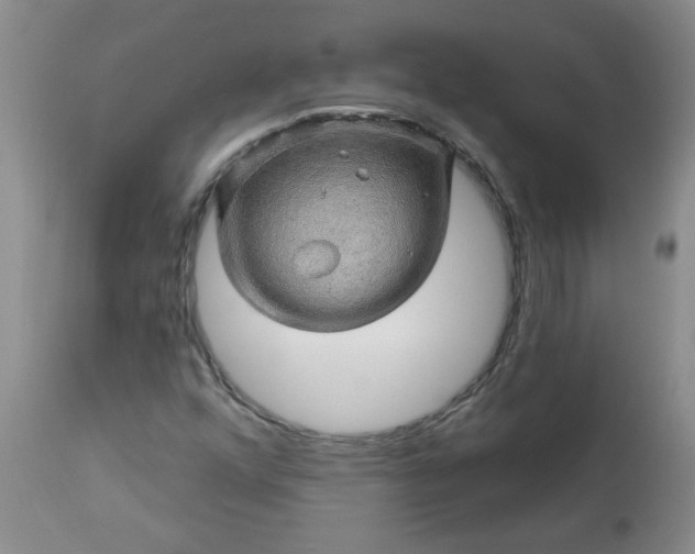 X0000113571352200910021620