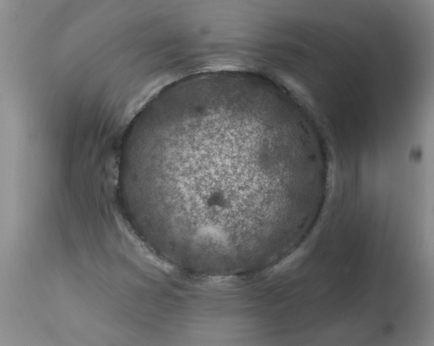 X0000113571353200910021620