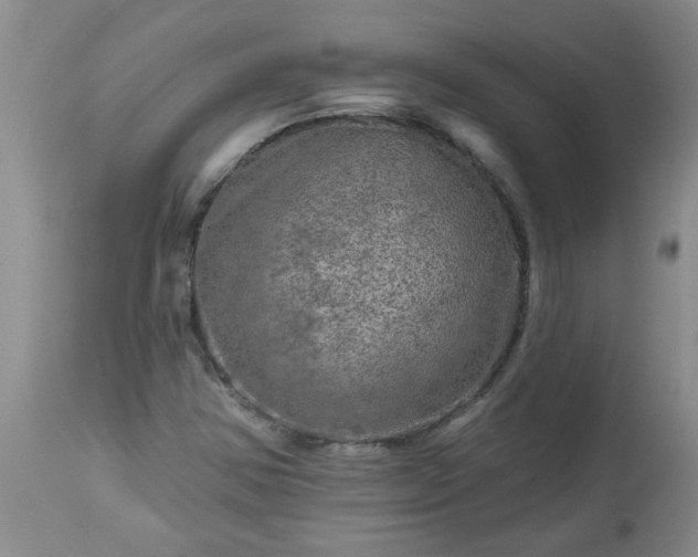 X0000113571354200910021620