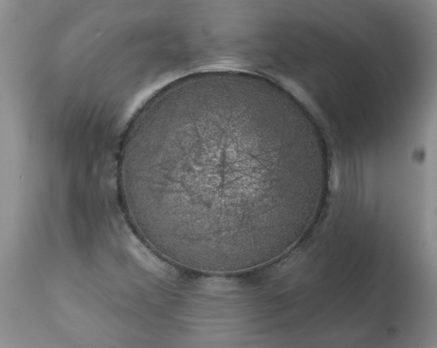 X0000113571356200910021620