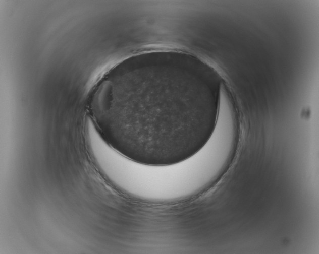 X0000113571357200910021620