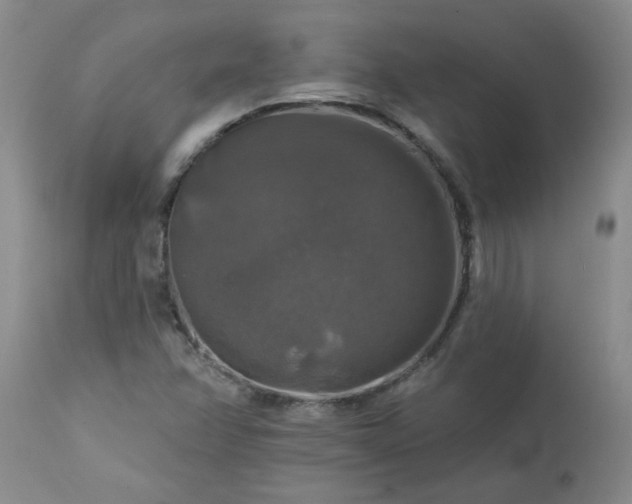 X0000113571358200910021620