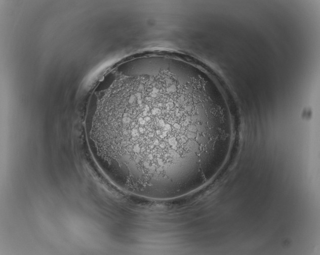 X0000113571359200910021620