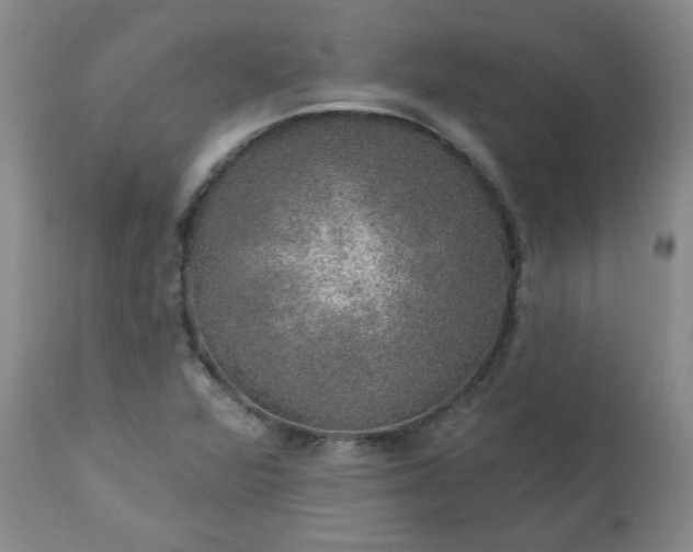 X0000113571360200910021620