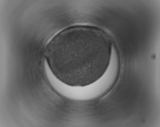 X0000113571361200910021620
