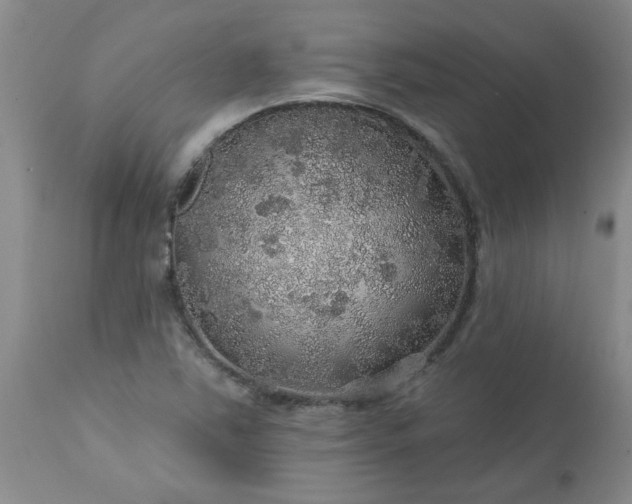 X0000113571363200910021620