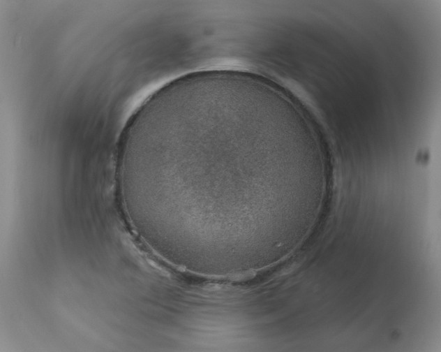 X0000113571364200910021620